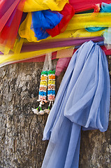 Image showing Bodhi tree