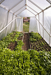 Image showing Greenhouse