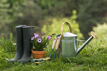 Image showing Gardening