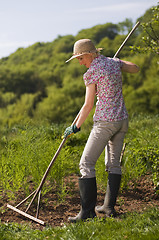 Image showing Gardening