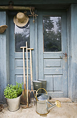 Image showing Gardening