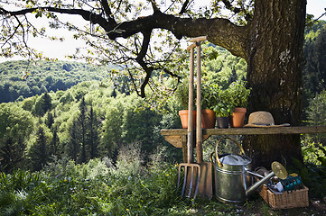 Image showing Gardening