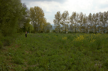 Image showing A walk in the country