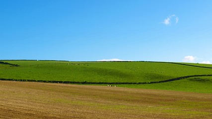 Image showing Cardross hill