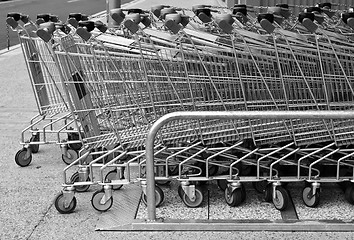 Image showing Shopping carts