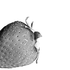 Image showing Strawberry