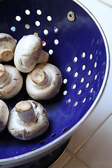 Image showing Mushrooms on a Plate