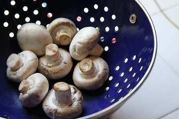 Image showing Mushrooms on a Plate