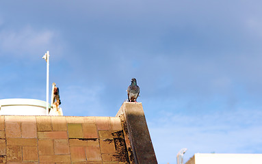 Image showing Top off the roof