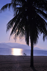 Image showing Landscape on beach
