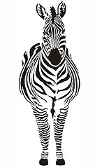 Image showing Zebra - black and zero