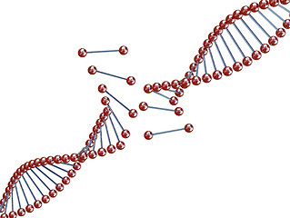 Image showing broken dna