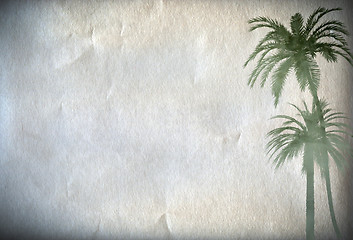 Image showing Paper background with palm 