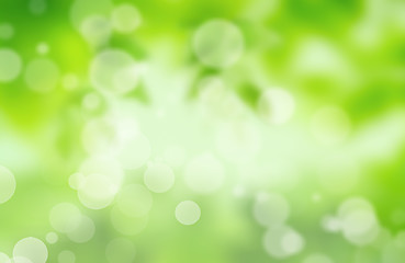 Image showing Natural green blurred background