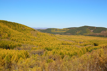 Image showing Grassland in the fall