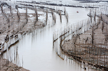 Image showing Seaweed farm