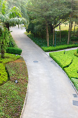 Image showing Road in garden