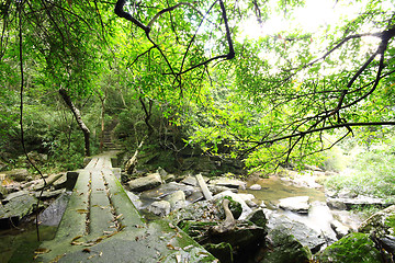 Image showing River & Old stone bridge 