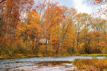 Image showing autumn leaves and trees on river