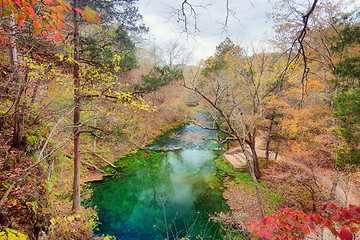 Image showing autumn leaves and trees on river