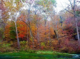 Image showing autumn leaves and trees on river