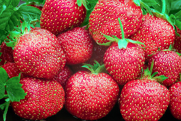 Image showing Fresh red strawberries
