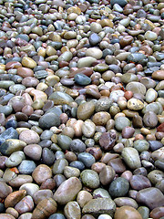 Image showing Wet rocks