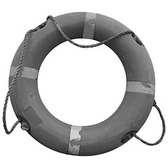 Image showing Lifebuoy