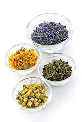 Image showing Dried medicinal herbs