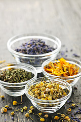 Image showing Dried medicinal herbs