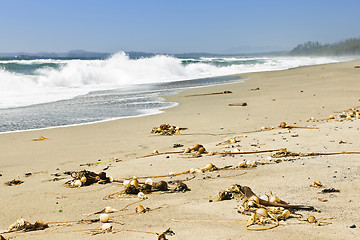 Image showing Coast of Pacific ocean in Canada