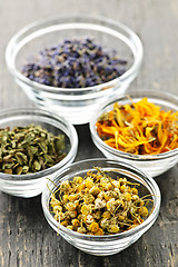 Image showing Dried medicinal herbs