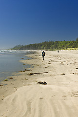 Image showing Sandy beach in Pacific Rim National Park in Canada