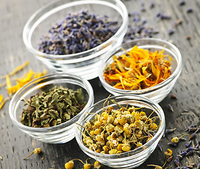 Image showing Dried medicinal herbs