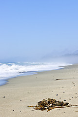 Image showing Coast of Pacific ocean in Canada