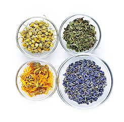 Image showing Dried medicinal herbs