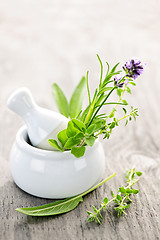 Image showing Healing herbs in mortar and pestle