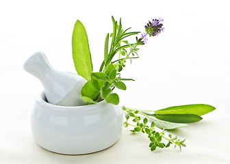 Image showing Healing herbs in mortar and pestle