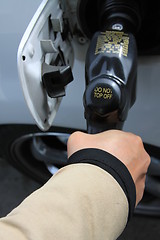 Image showing Person Pumping Gas