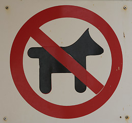 Image showing A ''no dogs allowed'' sign.