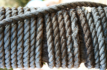 Image showing Rope Pole