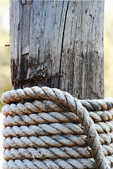 Image showing Rope Pole