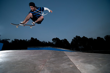 Image showing Skateboarder on a ollie