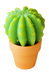 Image showing Star cactus