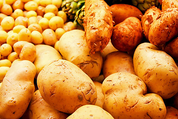 Image showing Various potatoes