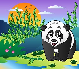 Image showing Cute small panda in bamboo forest