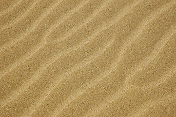 Image showing dune