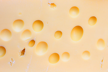 Image showing cheese background