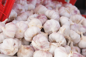 Image showing garlic background