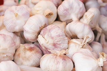 Image showing garlic background